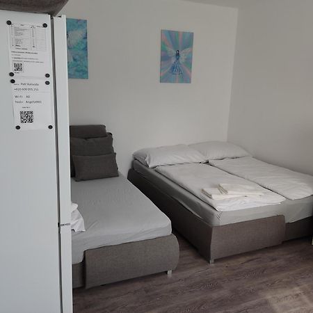Angel Apartman โนเว เมสตู นอด เมตูยี ภายนอก รูปภาพ