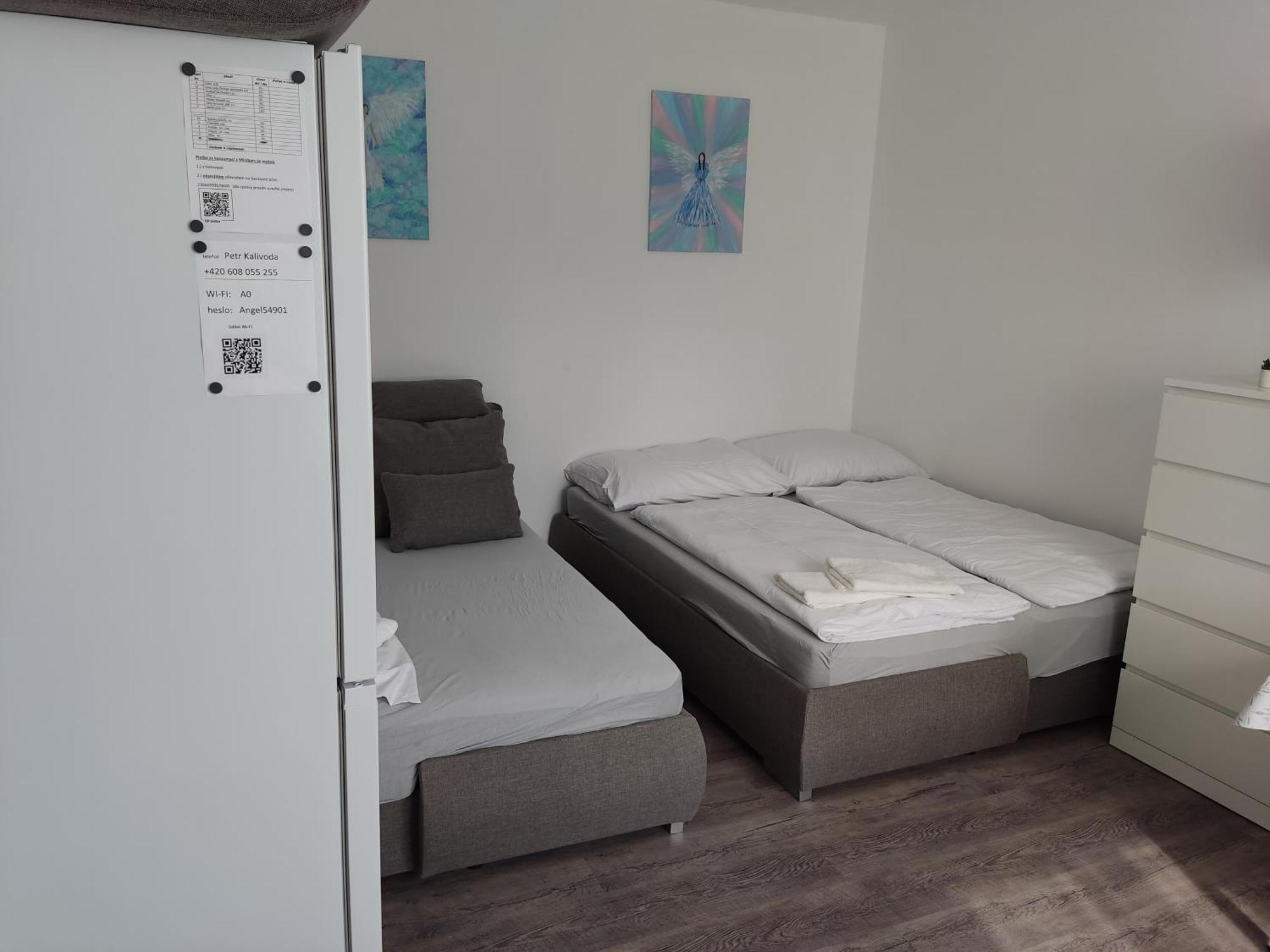 Angel Apartman โนเว เมสตู นอด เมตูยี ภายนอก รูปภาพ